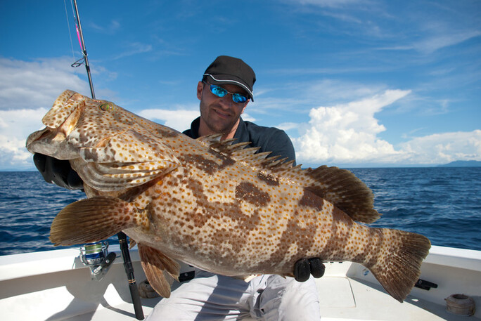 You are currently viewing Your Ultimate Guide to Grouper Fishing in Stuart, Florida