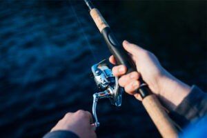 Read more about the article Comprehensive March Fishing Guide in Stuart, Florida